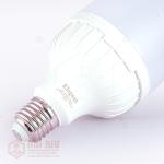 អំពូល LED អេឡេហ្គង់​ Elegant