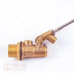 ប៉ោលទឹក