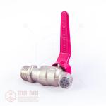 រ៉ូប៊ីនេអាលុយមីញូម