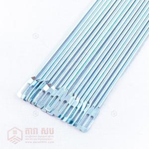 ម្ចុលដេបាវ